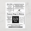 Search for amazement postcards Dog