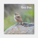 Search for wren magnets Bird watching