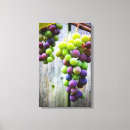 Search for grapes canvas prints Nature