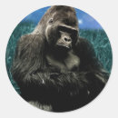 Search for ape round stickers Jungle