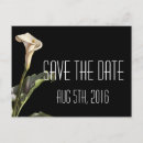 Search for calla lily save the dates Floral