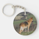 Search for looking down key rings Dog
