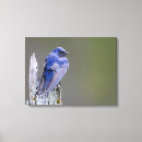 Search for iridescent canvas prints Blue