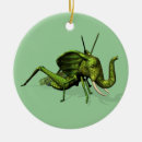 Search for cricket christmas tree decorations Katydid