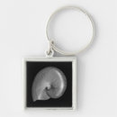 Search for nautilus shell key rings Seashell