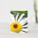 Search for ladybug cards Macro