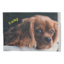 Search for spaniel pillowcases Puppy