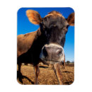 Search for danita delimont magnets Animal