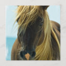 Search for mustang invitations Wild horses