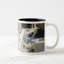 Search for components mugs Sts 127