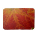 Search for bathing photography Nature