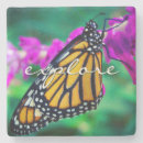Search for exploration coasters Photography