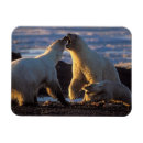 Search for sow magnets Ak