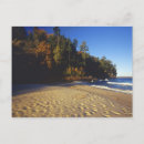 Search for sunlight postcards Landscape