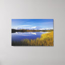 Search for mckinley canvas prints Mountain