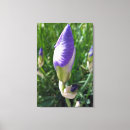 Search for iris canvas prints Green