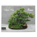 Search for bonsai image Nature