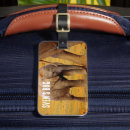Search for elephant luggage tags Wildlife photography