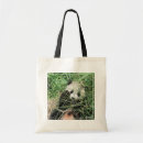 Search for hiding bags Wildlife