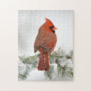 Search for breast puzzles Avian