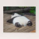 Search for panda puzzles Sleeping