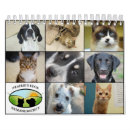Search for adopted calendars Cats
