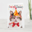 Search for calico cat birthday cards Cats