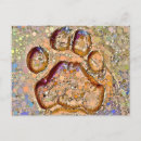 Search for paws postcards Wild