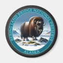 Search for bering Alaska