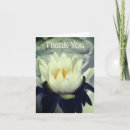 Search for lotus flowers cards Photography