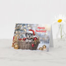 Search for schnauzer christmas cards Puppies