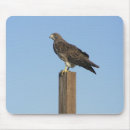 Search for perching mouse mats Avian
