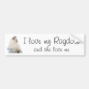 Search for points bumper stickers Cute
