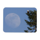 Search for ken magnets Danita delimont