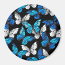 Search for butterfly pattern magnets Blue