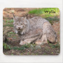 Search for lynx mouse mats Nature