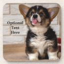Search for corgi coasters Baby