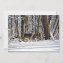 Search for forest city cards Winter