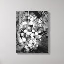 Search for berry canvas prints Berries