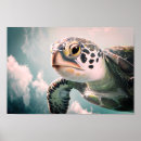 Search for sky turtle Nature