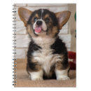 Search for welsh corgi notebooks Animal lover
