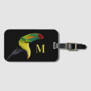 Search for bird drawing accessories Tropical