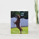 Search for bubble cards Dog