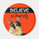 Search for confident magnets Cute