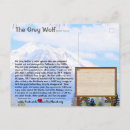 Search for wolfs postcards Wild
