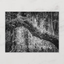 Search for wilds postcards Tropical
