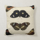 Search for butterfly cushions Cream