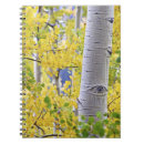 Search for aspen notebooks Yellow