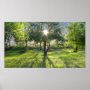 Search for sunbeam posters Sunlight