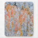 Search for rocky mountain mouse mats Danita delimont